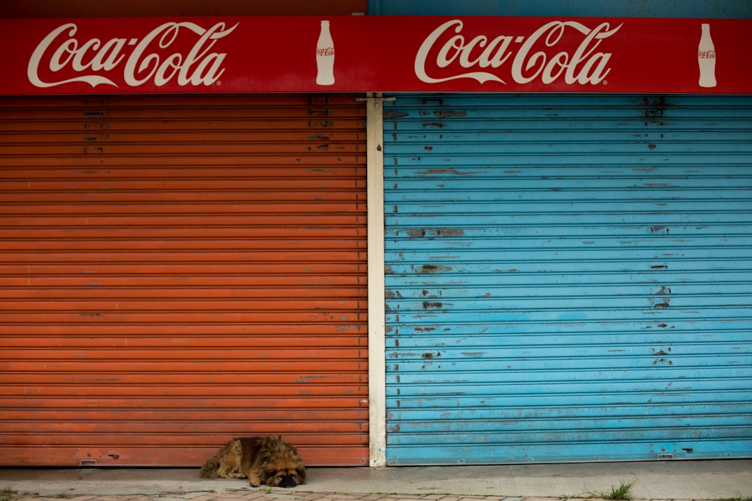 Аналитика рекламных карт